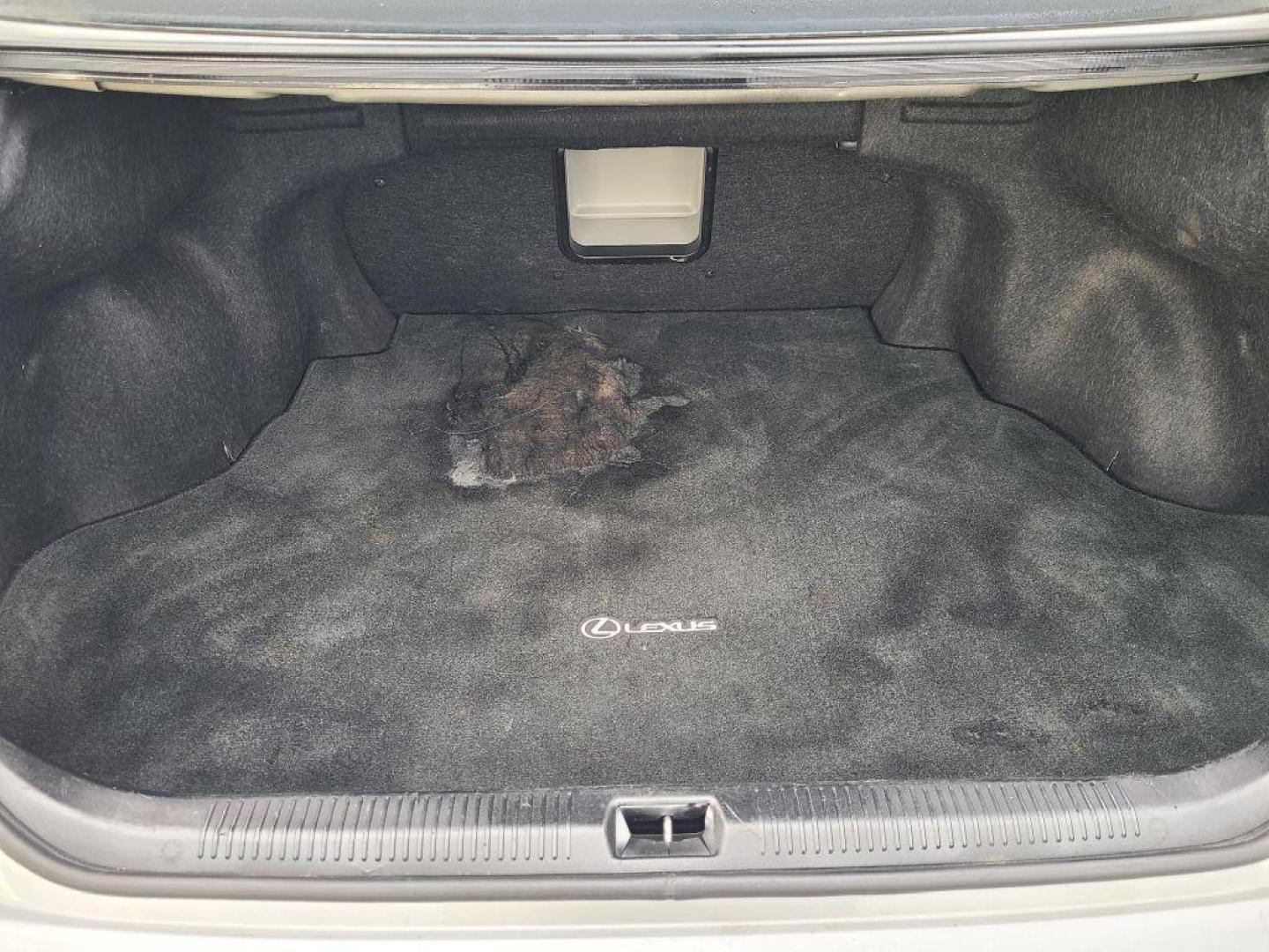 2007 SILVER LEXUS ES350 BASE (JTHBJ46G572) with an 3.5L engine, Automatic transmission, located at 13640 E Wade Hampton Blvd, Greer, SC, 29651, (864) 848-4040, 34.950825, -82.197464 - Photo#7