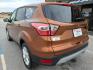 2017 ORANGE FORD ESCAPE SE (1FMCU0GDXHU) with an 1.5L engine, Automatic transmission, located at 13640 E Wade Hampton Blvd, Greer, SC, 29651, (864) 848-4040, 34.950825, -82.197464 - Photo#4