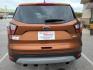2017 ORANGE FORD ESCAPE SE (1FMCU0GDXHU) with an 1.5L engine, Automatic transmission, located at 13640 E Wade Hampton Blvd, Greer, SC, 29651, (864) 848-4040, 34.950825, -82.197464 - Photo#5