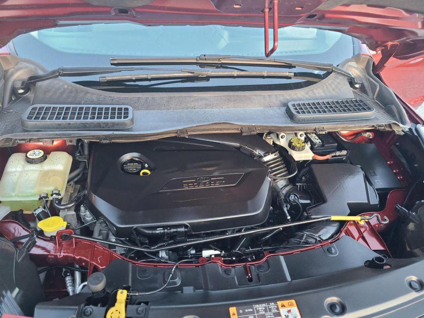 2014 OR/RED FORD ESCAPE SE (1FMCU0GX4EU) with an 1.6L engine, Automatic transmission, located at 13640 E Wade Hampton Blvd, Greer, SC, 29651, (864) 848-4040, 34.950825, -82.197464 - Photo#11