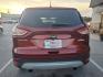 2014 OR/RED FORD ESCAPE SE (1FMCU0GX4EU) with an 1.6L engine, Automatic transmission, located at 13640 E Wade Hampton Blvd, Greer, SC, 29651, (864) 848-4040, 34.950825, -82.197464 - Photo#5