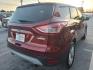 2014 OR/RED FORD ESCAPE SE (1FMCU0GX4EU) with an 1.6L engine, Automatic transmission, located at 13640 E Wade Hampton Blvd, Greer, SC, 29651, (864) 848-4040, 34.950825, -82.197464 - Photo#6
