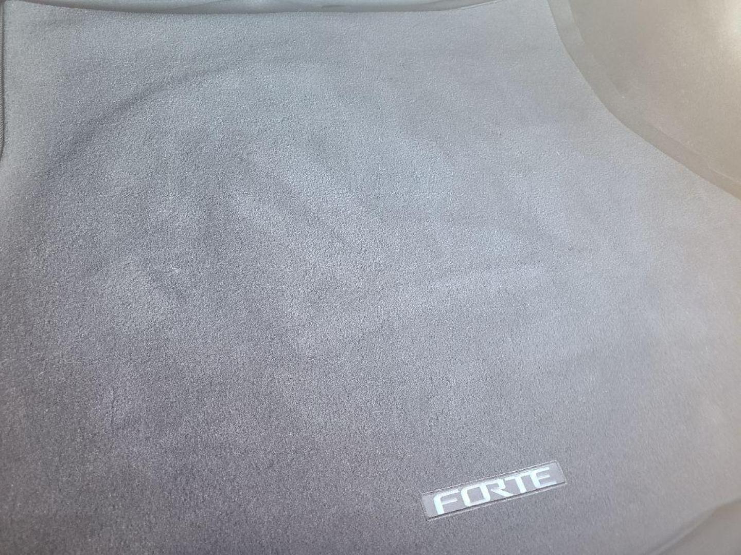 2017 BLUE KIA FORTE (3KPFL4A77HE) with an 2.0L engine, Automatic transmission, located at 13640 E Wade Hampton Blvd, Greer, SC, 29651, (864) 848-4040, 34.950825, -82.197464 - Photo#7